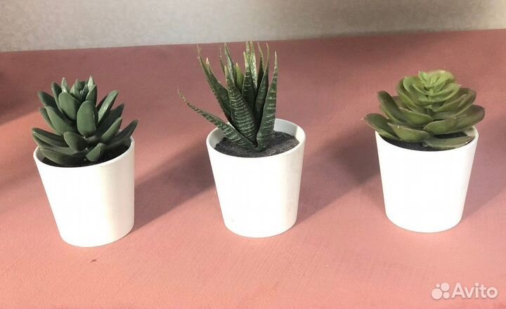 Суккуленты искусственные растения IKEA