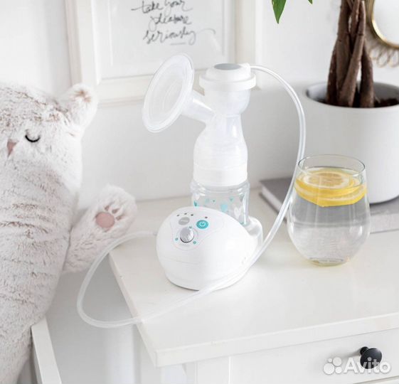 Молокоотсос