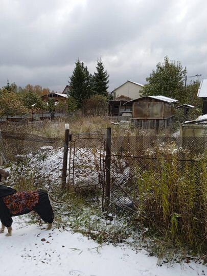 Участок 5 сот. (СНТ, ДНП)