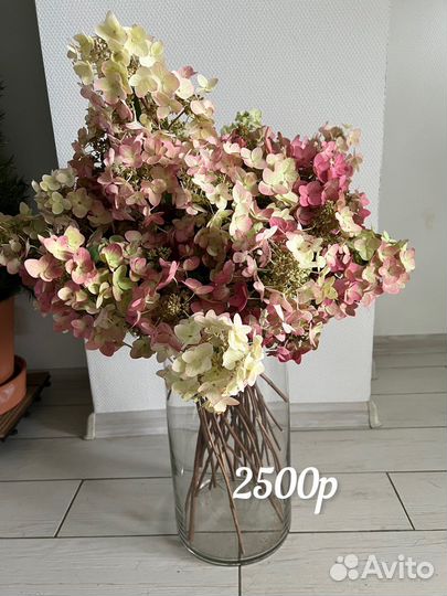 Гортензия сухоцвет и прочее