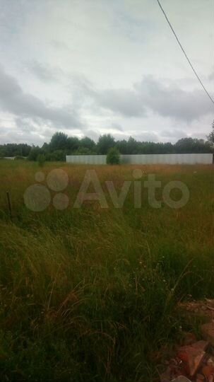 Участок 15,5 сот. (ИЖС)