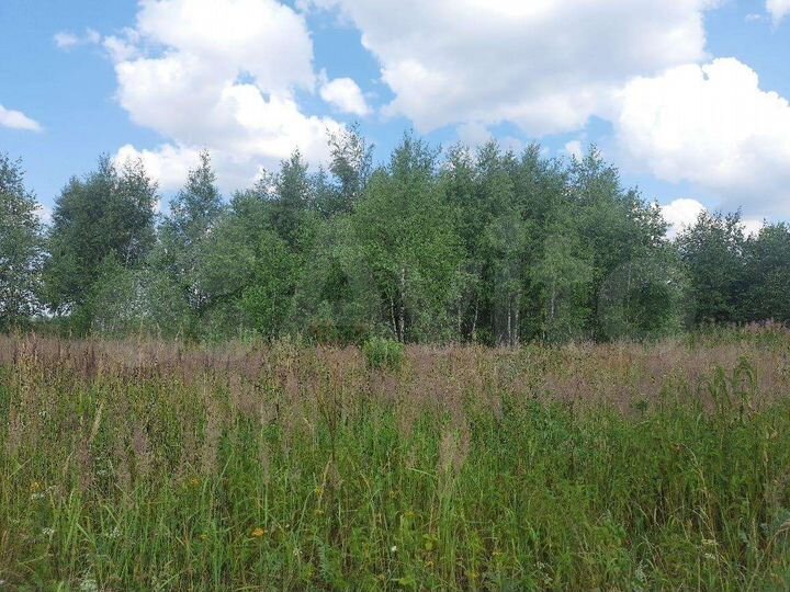 Участок 33,8 сот. (ИЖС)