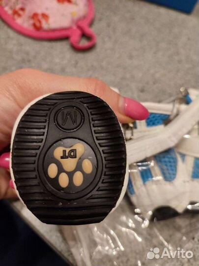 Ботинки для маленьких собак