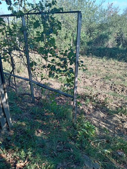 Дом 89,1 м² на участке 6,5 сот.