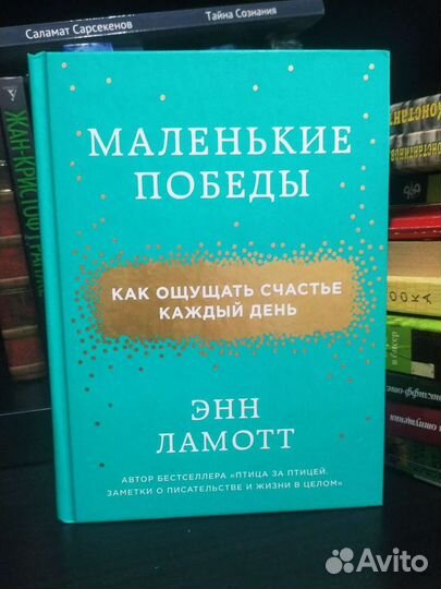 Маленькие победы. Энн Ломатт