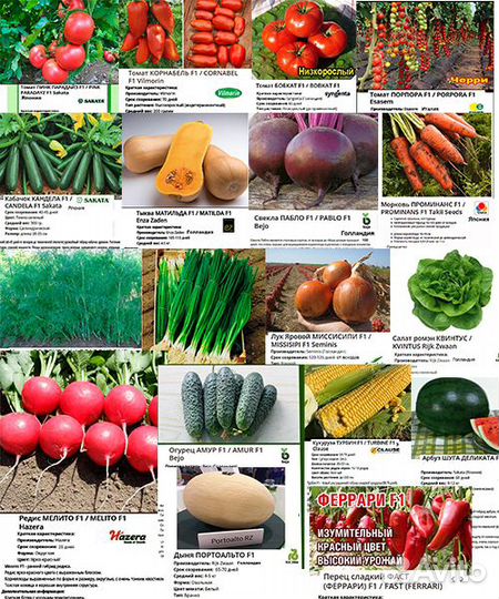 Профессиональные семена, мелкая фасовка