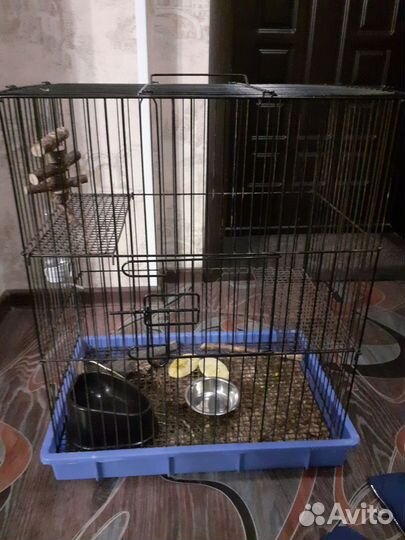 Клетка длч дегу или шиншилл