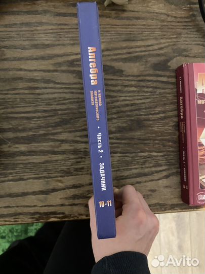 Учебник алгебра 10- 11 класс