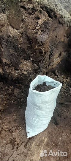 Продам перегной коровий, есть свежий навоз