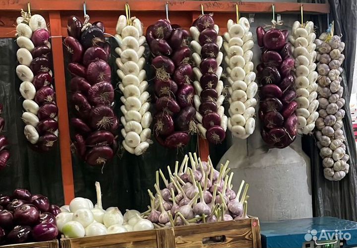 Ялтинский лук с Крыма