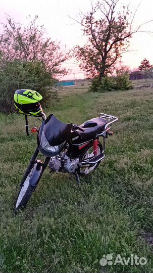 Alpha bandit sport