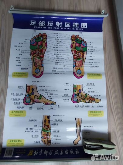 Таблица рефлекторная карта стопы, 57см х 89