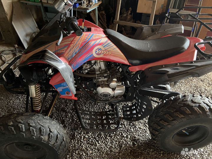 Wasabi 250