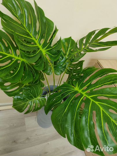Монстера искусственная