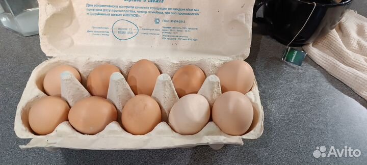Яйцо инкубационные 