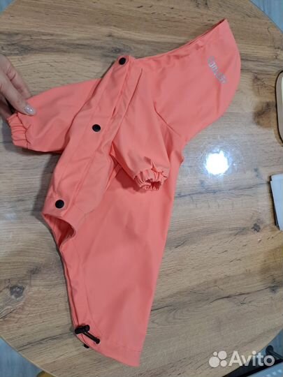 Одежда для собаки