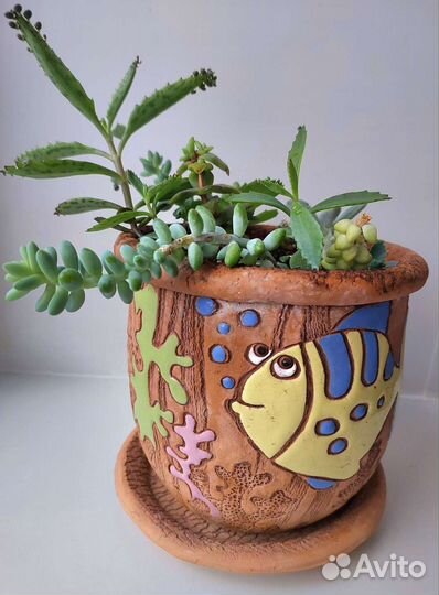 Готовые цветочные композиции, суккуленты