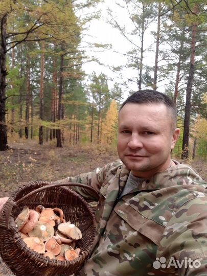 Помогу с ремонтом