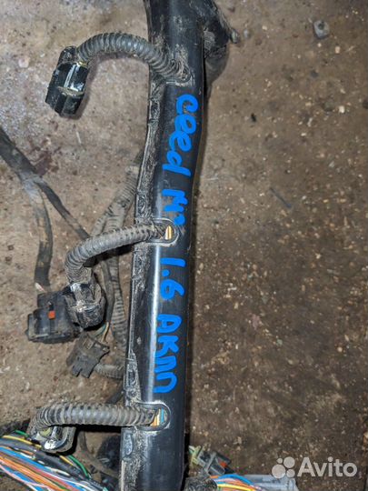 Проводка моторная кия сиид 2014г 1,6 АКПП