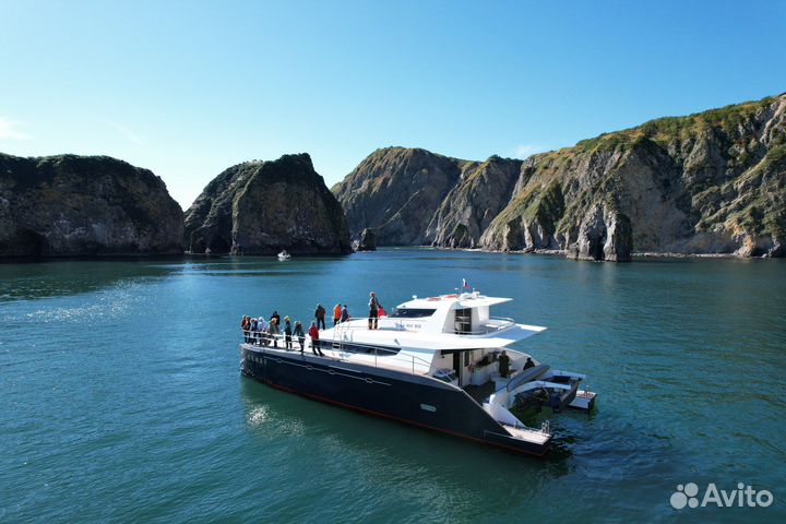 Аренда катамаранов и катеров на Камчатке
