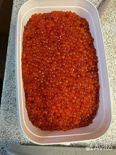 Икра красная горбуши/кеты/нерки/кижуча