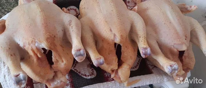 Мясо бройлера (тушка)