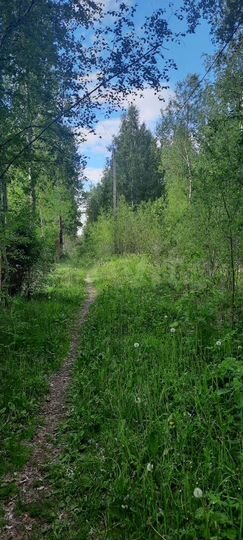 Участок 6 сот. (СНТ, ДНП)