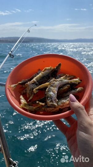 Рыбалка со снастями