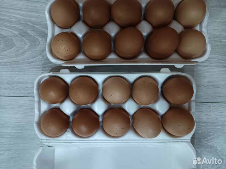 Домашние куриные яйца