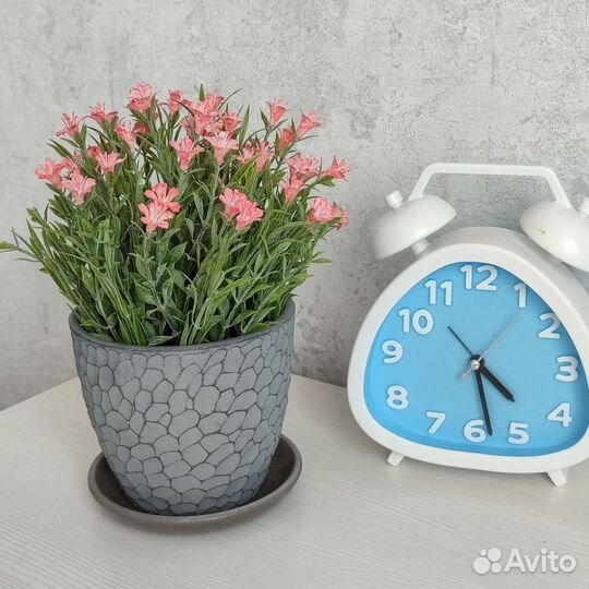 Комнатные цветы в горшках