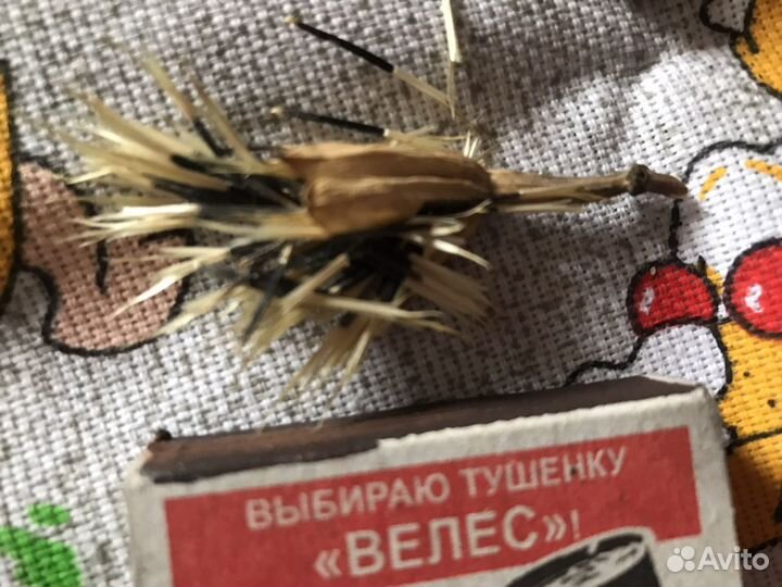 Семена бархатцев