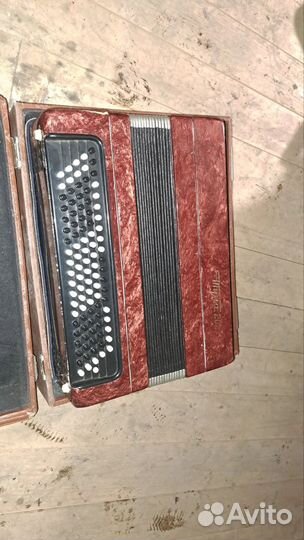 Баян Тула 202