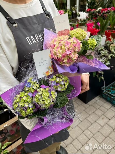 Гортензия цветущая. Букет в корзине