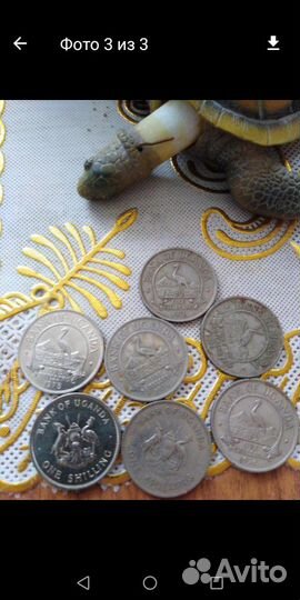 Монета 1 шиллинг Уганда 1975. 1976год