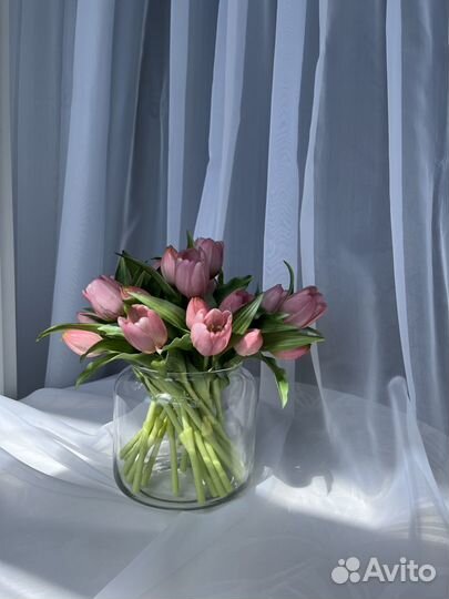 Тюльпаны интерьерные