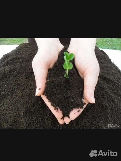 Чернозем конский перегной в мешках