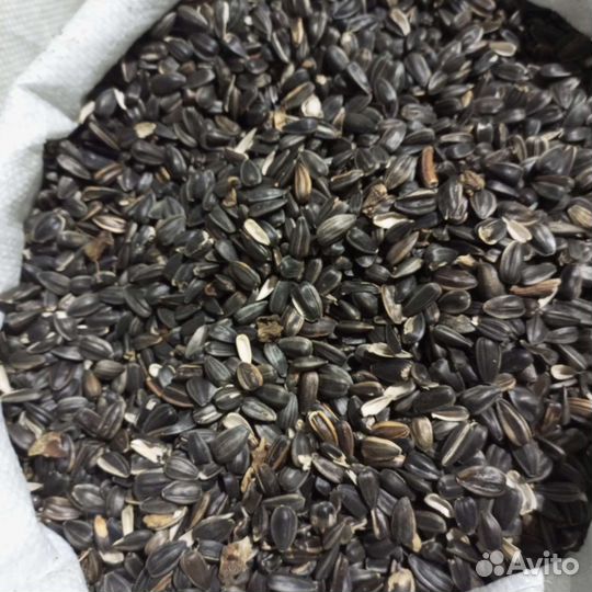 Семечки подсолнечника