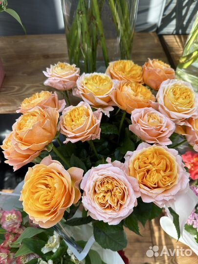 101 Роза, Доставка цветов, розы доставка