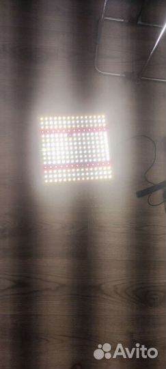 Светодтодные лампы