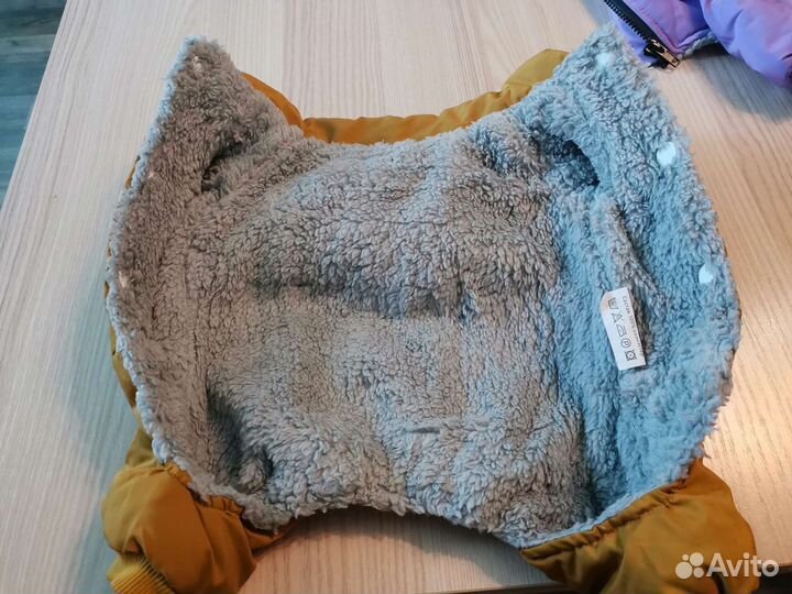 Одежда для собак мелких пород