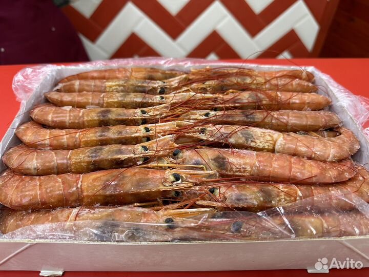 Лангустины L1