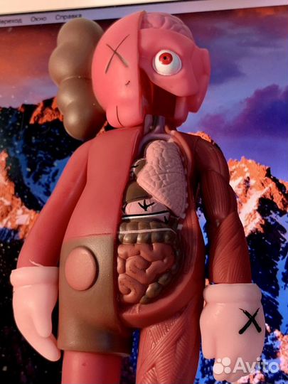 Kaws anatomy 20см фигурка