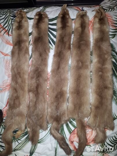 Шкурки норки