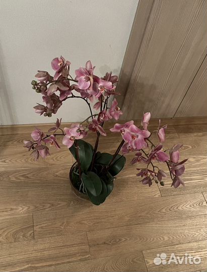 Орхидея искусственная премиум качества 80см