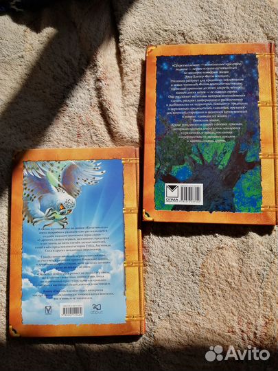 Книга «Коты-воители»