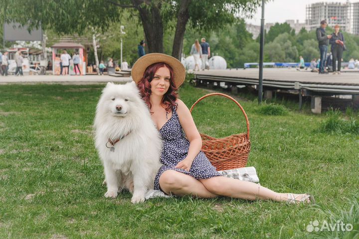 Фотосессия с собакой