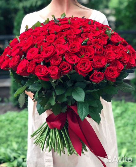 Высокие розы Гигантские розы Доставка цветов