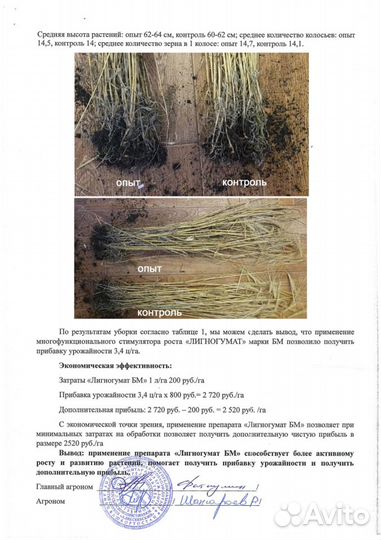 Лигногумат бм / ам гумат калия для зерновых и др