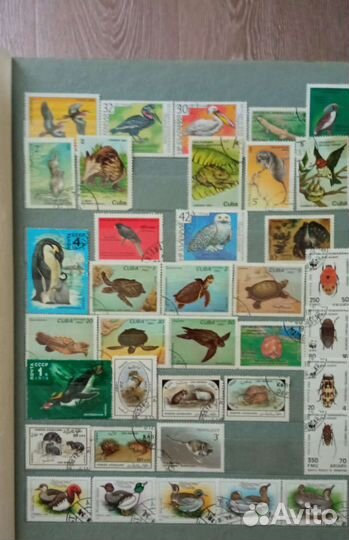 Почтовые марки СССР