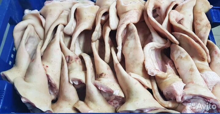 Уши свиные(Оптом)